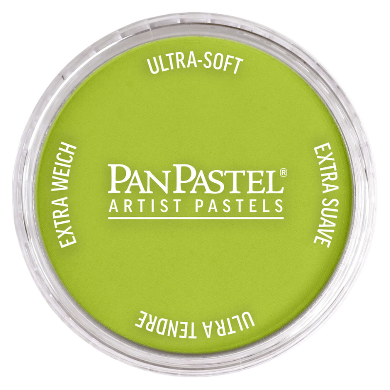 PANPASTELPANPASTEL PZ-2 ARTISTS PASTEL YUVARLAK KUTU 9ML 680.5 BRIGHT YELLOW GREENY0003103