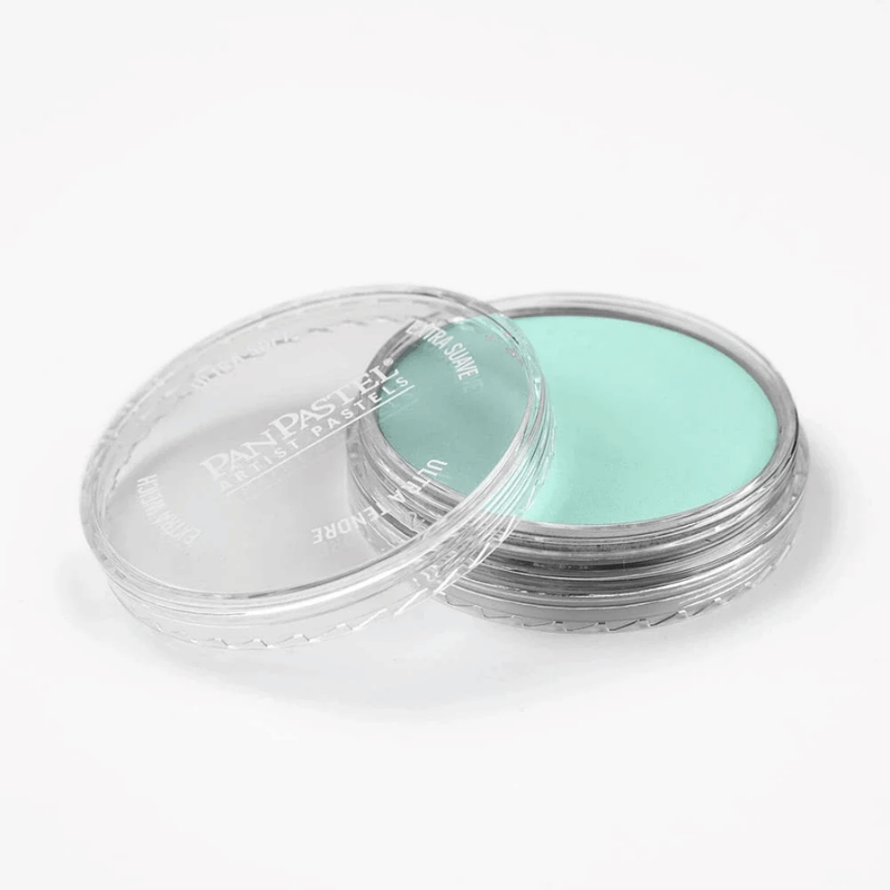 PANPASTELPANPASTEL PZ-2 ARTISTS PASTEL YUVARLAK KUTU 9ML 620.8 PHTHALO GREEN TINTY0003107