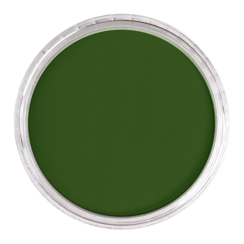 PANPASTELPANPASTEL PZ-2 ARTISTS PASTEL YUVARLAK KUTU 9ML 660.5 CHROME OXIDE GREENY0003116