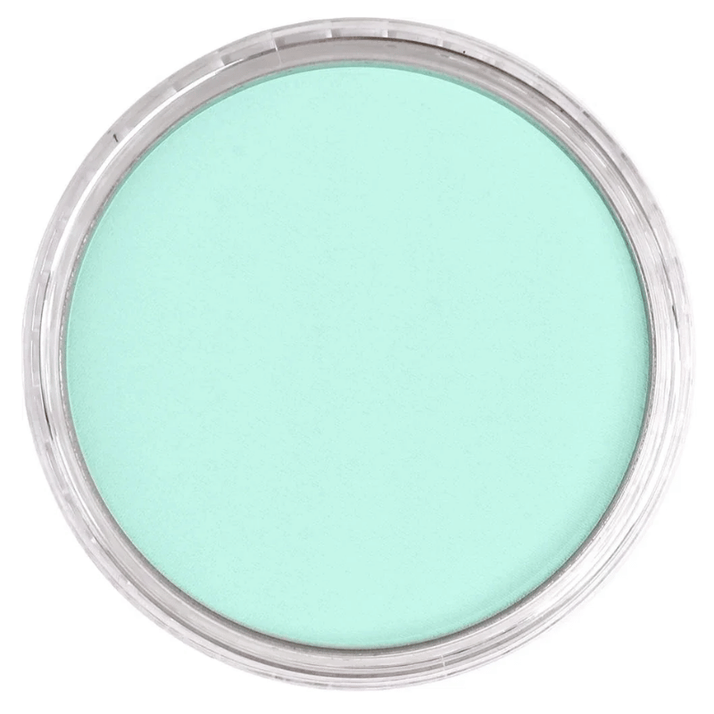 PANPASTELPANPASTEL PZ-2 ARTISTS PASTEL YUVARLAK KUTU 9ML 620.8 PHTHALO GREEN TINTY0003107