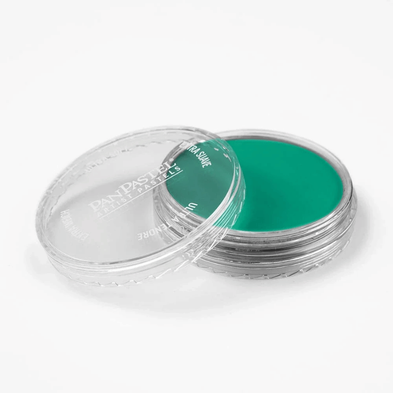 PANPASTELPANPASTEL PZ-2 ARTISTS PASTEL YUVARLAK KUTU 9ML 620.5 PHTHALO GREENY0003092