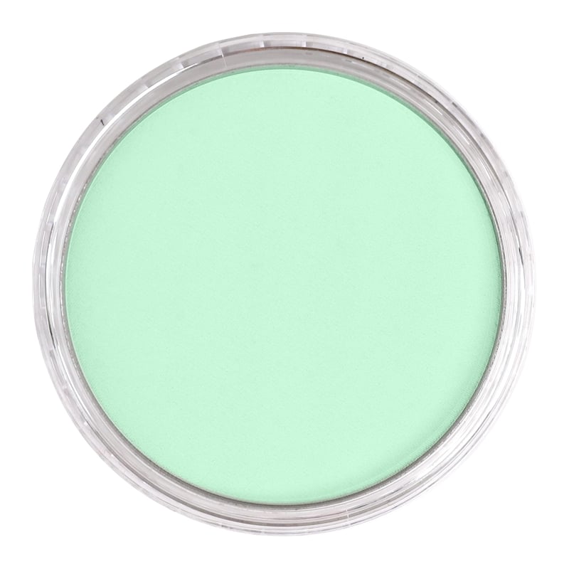 PANPASTELPANPASTEL PZ-2 ARTISTS PASTEL YUVARLAK KUTU 9ML 640.8 PERMANENT GREEN TINTY0003106
