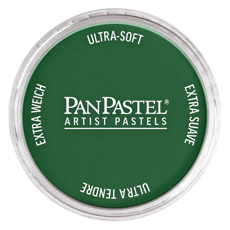 PANPASTELPANPASTEL PZ-2 ARTISTS PASTEL YUVARLAK KUTU 9ML 640.1 PERMANENT GREEN EX.DARKY0003112