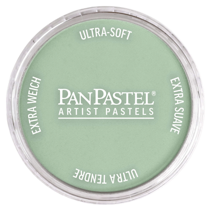 PANPASTELPANPASTEL PZ-2 ARTISTS PASTEL YUVARLAK KUTU 9ML 660.8 CHROME OXIDE GREEN TINTY0003105