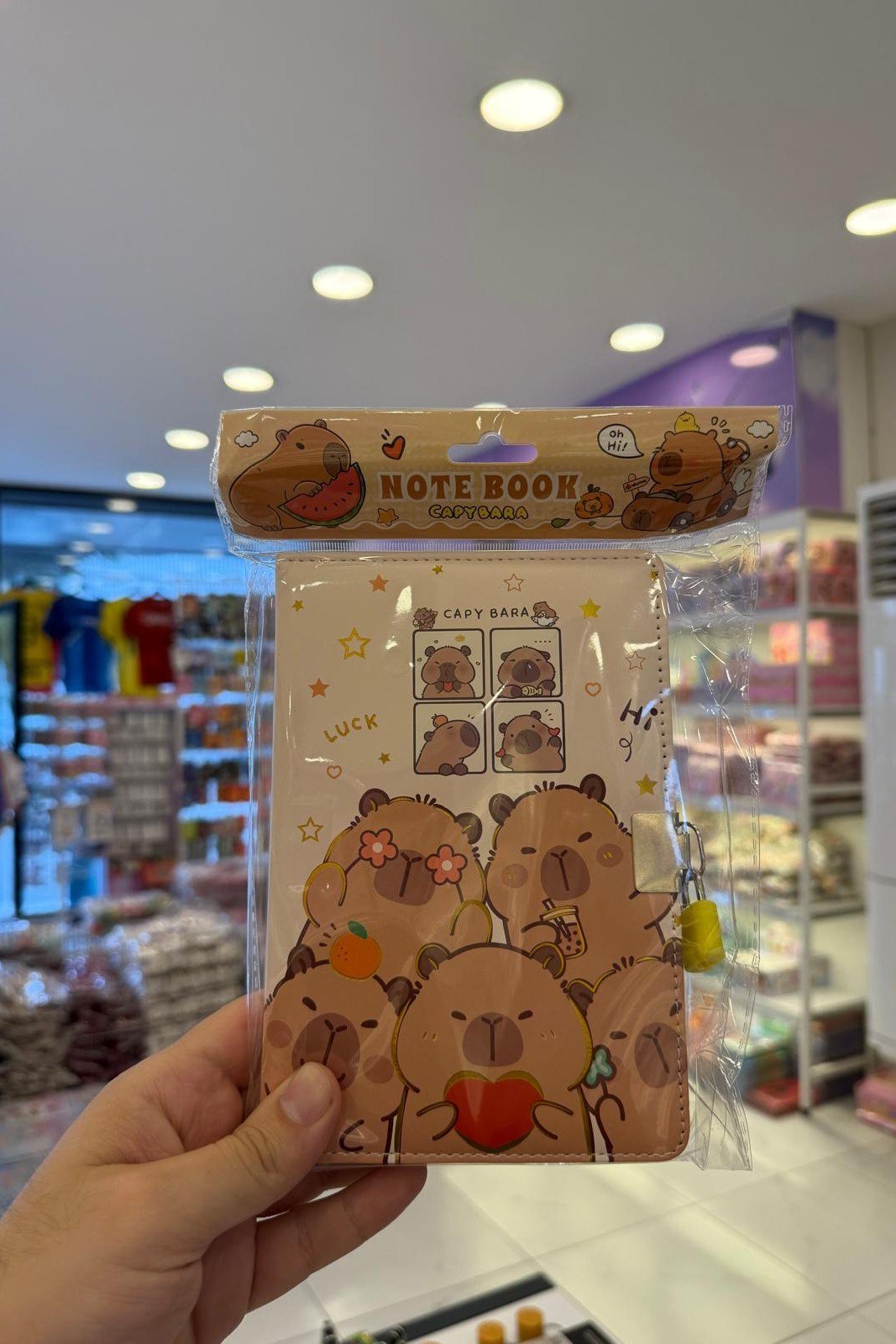 Capbara  Soft Kapaklı Defter Kilitli