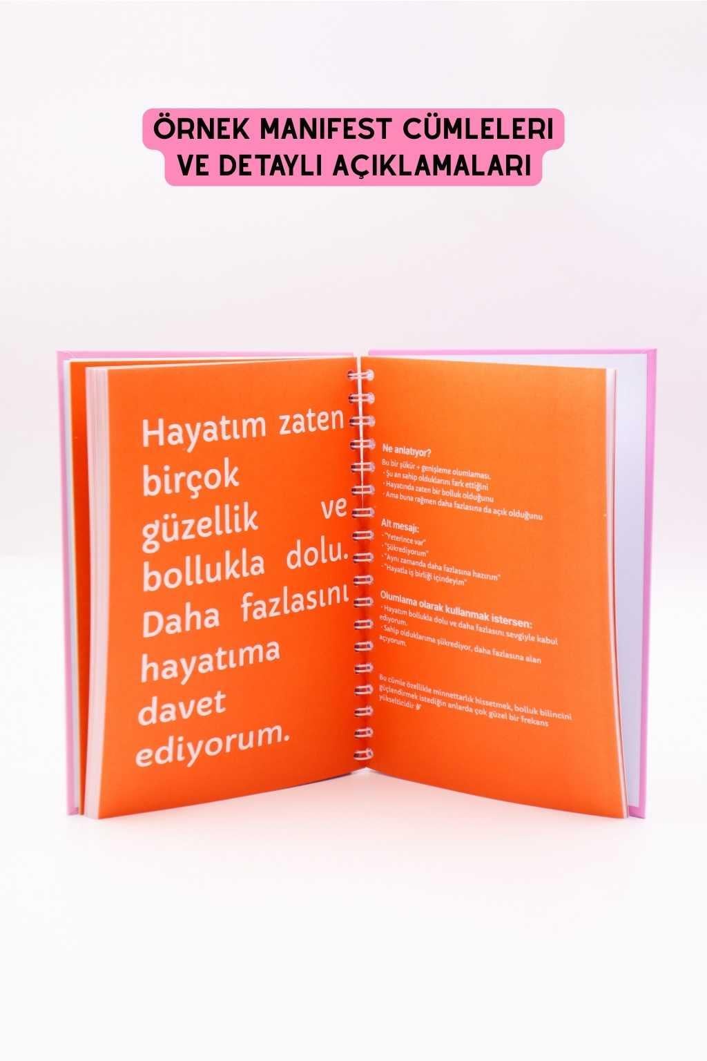 Pembe Manifest Günlüğü (Seri 2)