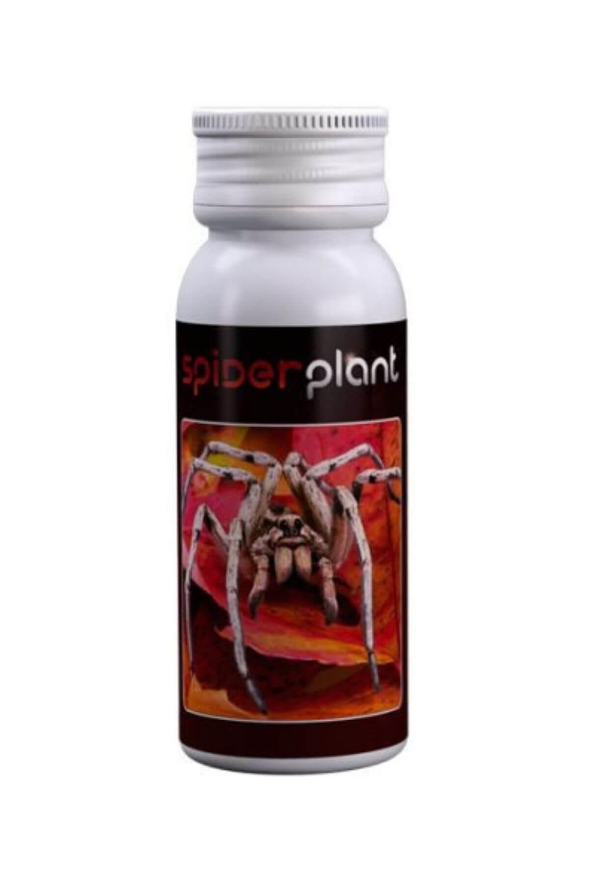 Agrobacterias Spider Plant 15 ml Bitki Kırmızı Örümcek İlacı