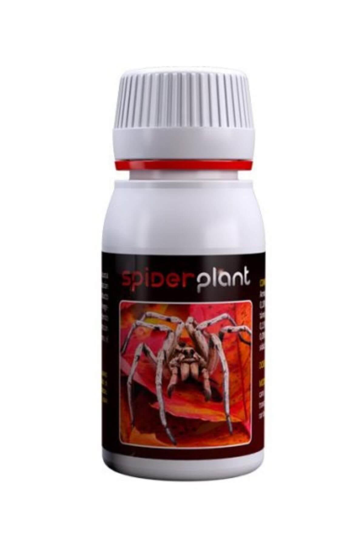 Agrobacterias Spider Plant 60 ml Bitki Kırmızı Örümcek İlacı