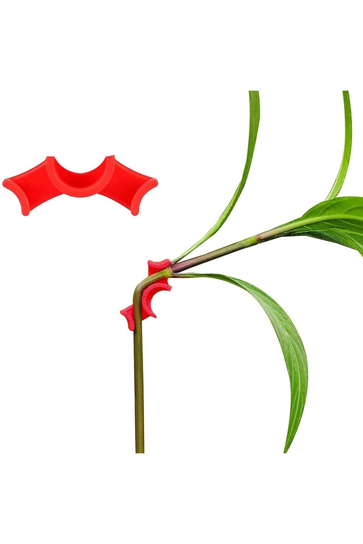 Bitki Düşük Stres Lst Eğitim Klipsi 10 Adet