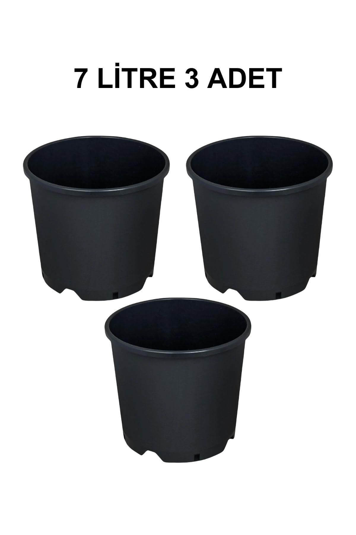 Grow Wizard Plastik Yuvarlak Saksı 7 Litre 3 Adet