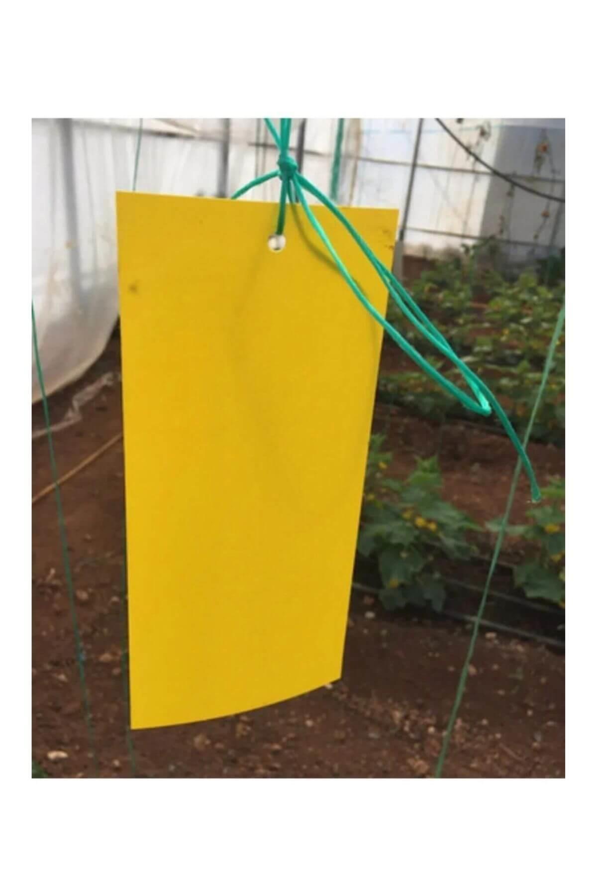 Grow Wizard Sarı Yapışkan Tuzak 10'lu Paket