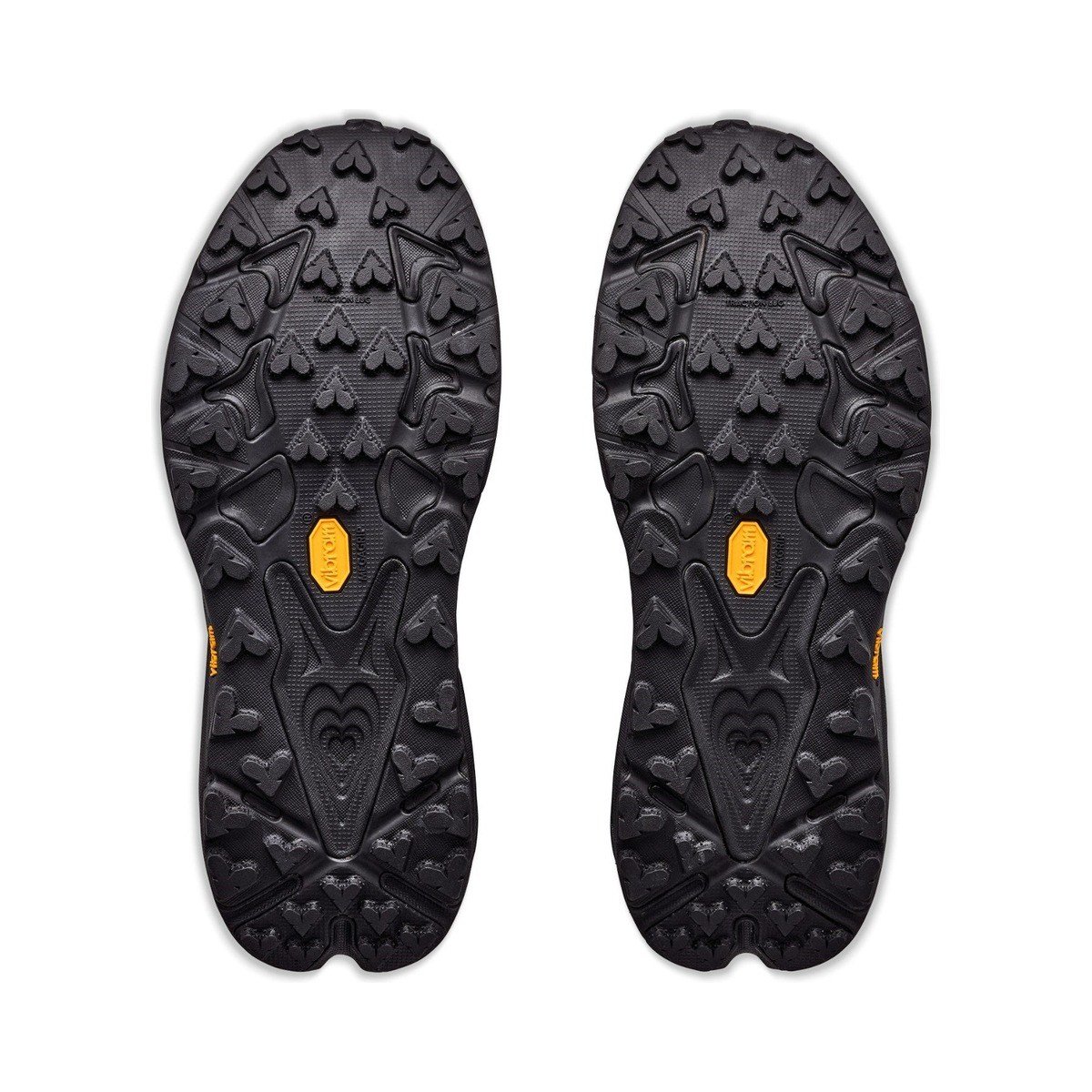Hoka Speedgoat 7 GTX Erkek Koşu Ayakkabısı 1176674-BBNB