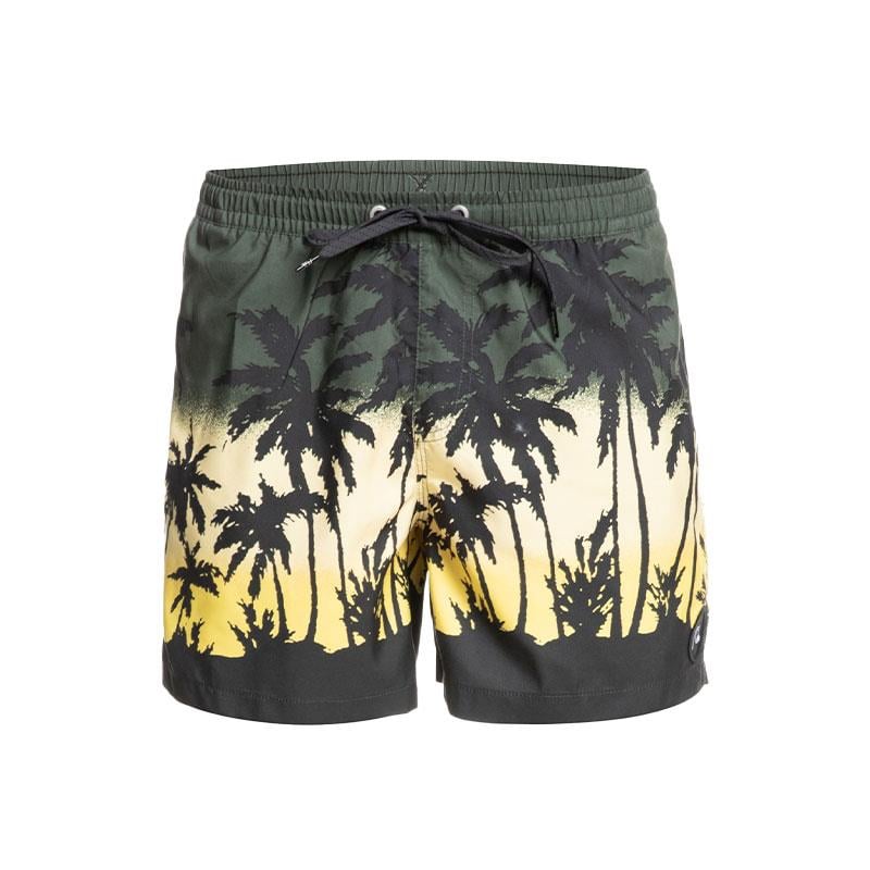 Quiksilver Everyday Paradise Erkek Şort EQYJV03861-CQY6