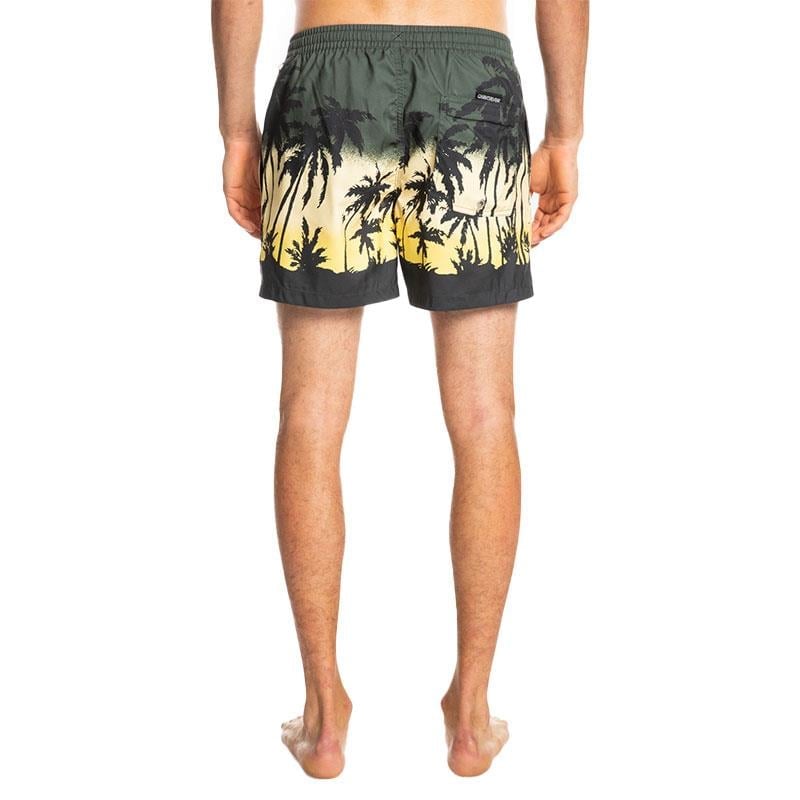 Quiksilver Everyday Paradise Erkek Şort EQYJV03861-CQY6