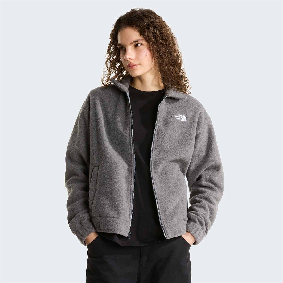 The North Face W Fleece Collared Kadın Ceket NF0A8J6K0V21