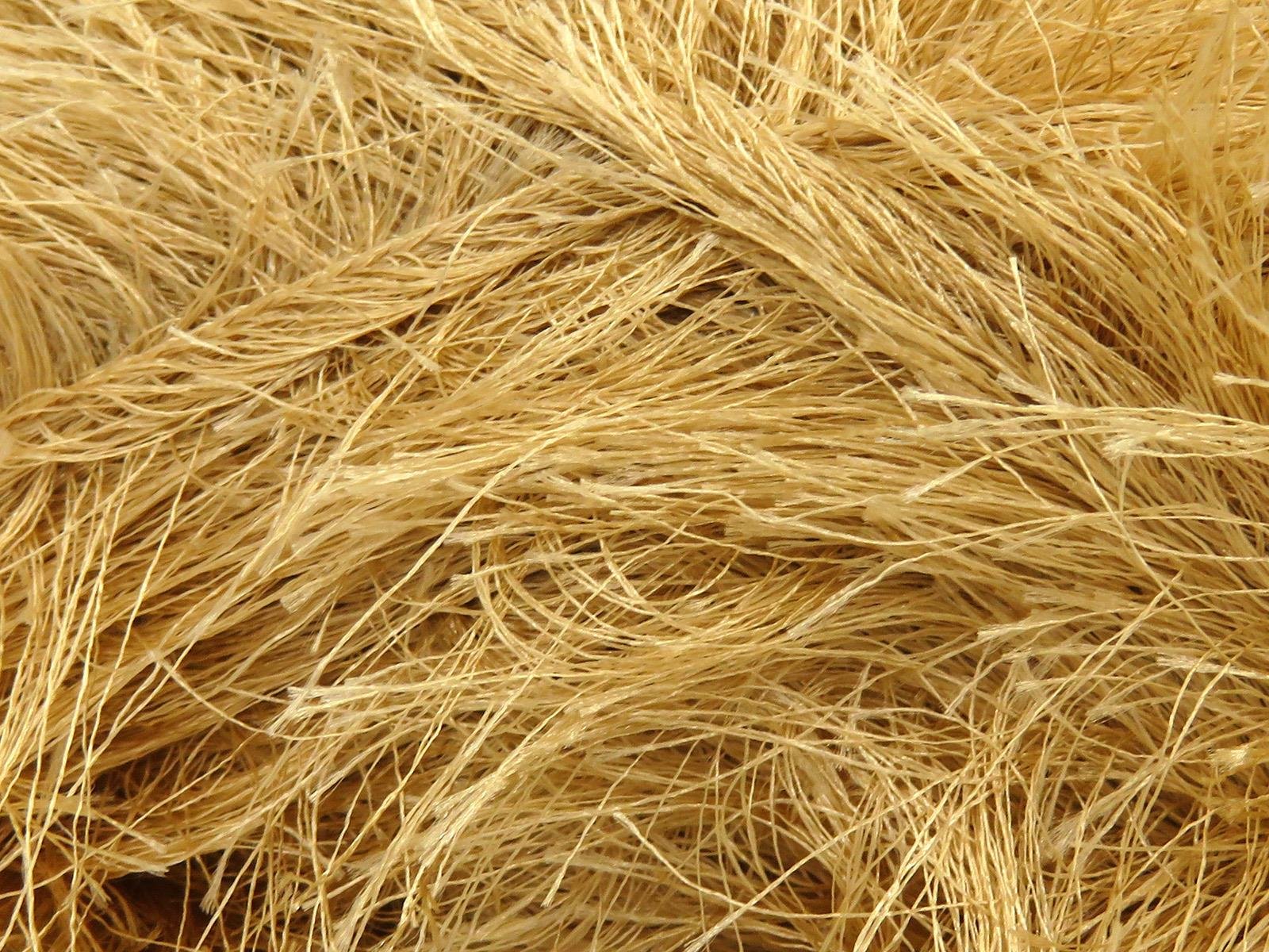 Long Eyelash 100gr Milky Brown