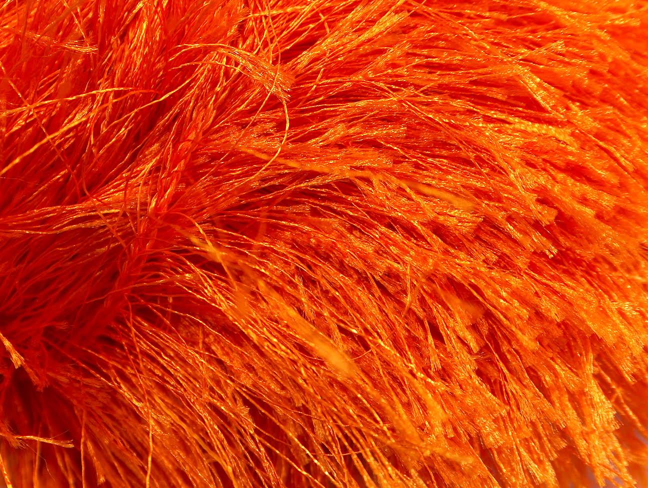 Long Eyelash Orange