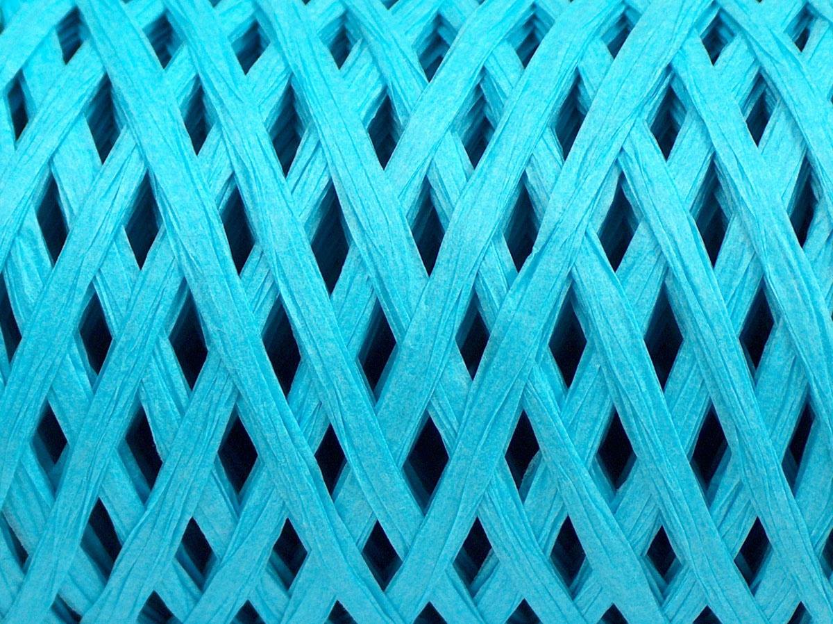 Raffia Turquoise
