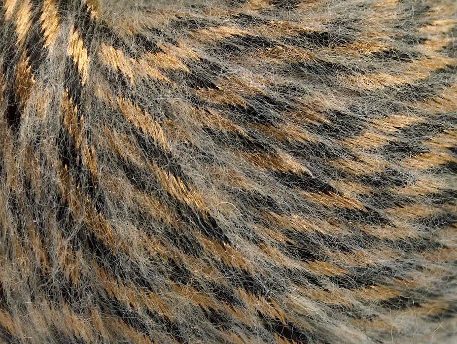 Rock Star Black, White, Bronze