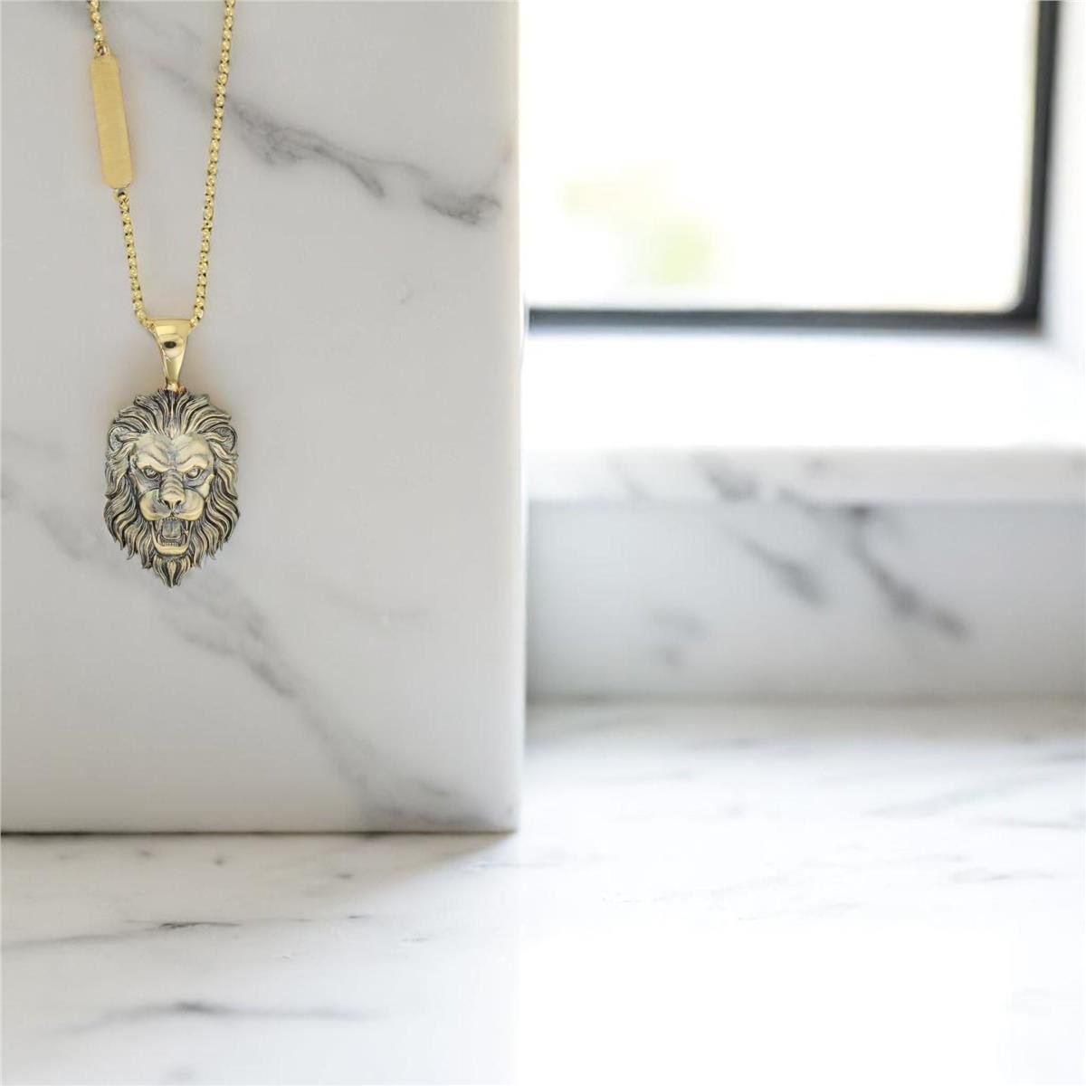 14 Ayar Altın Erkek Kolye  -  0182106