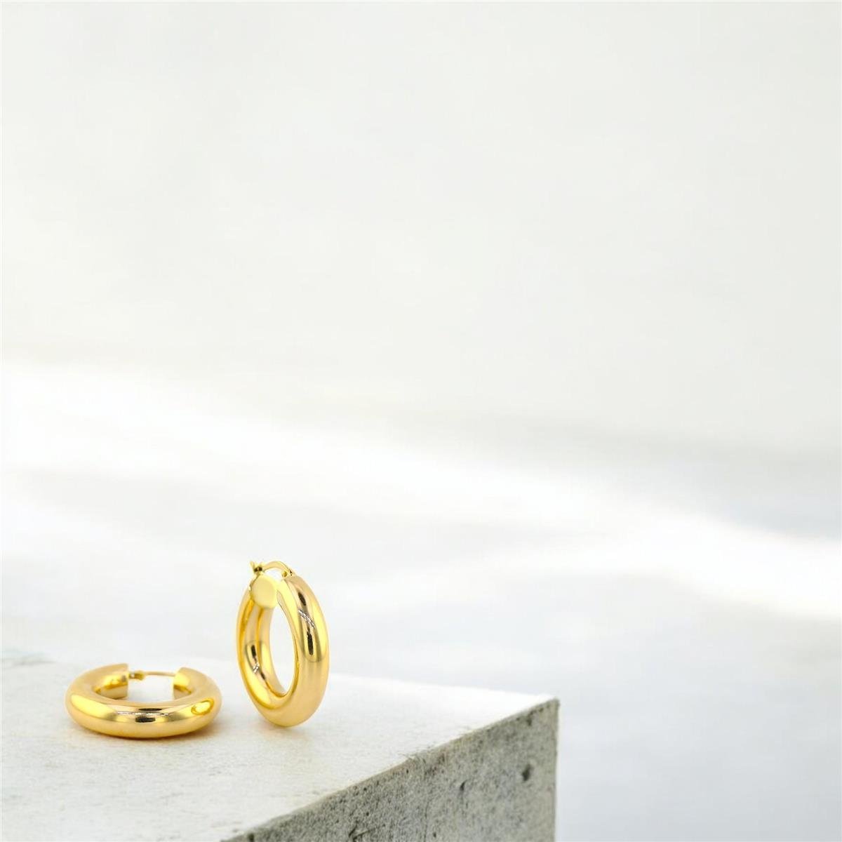 14 Ayar Altın Halka Küpe  -  0191544