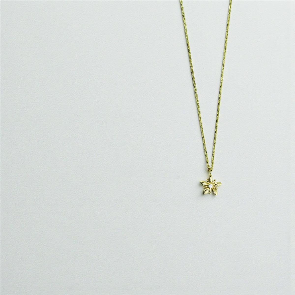 14 Ayar Altın Kartaneli Kolye  -  0194863