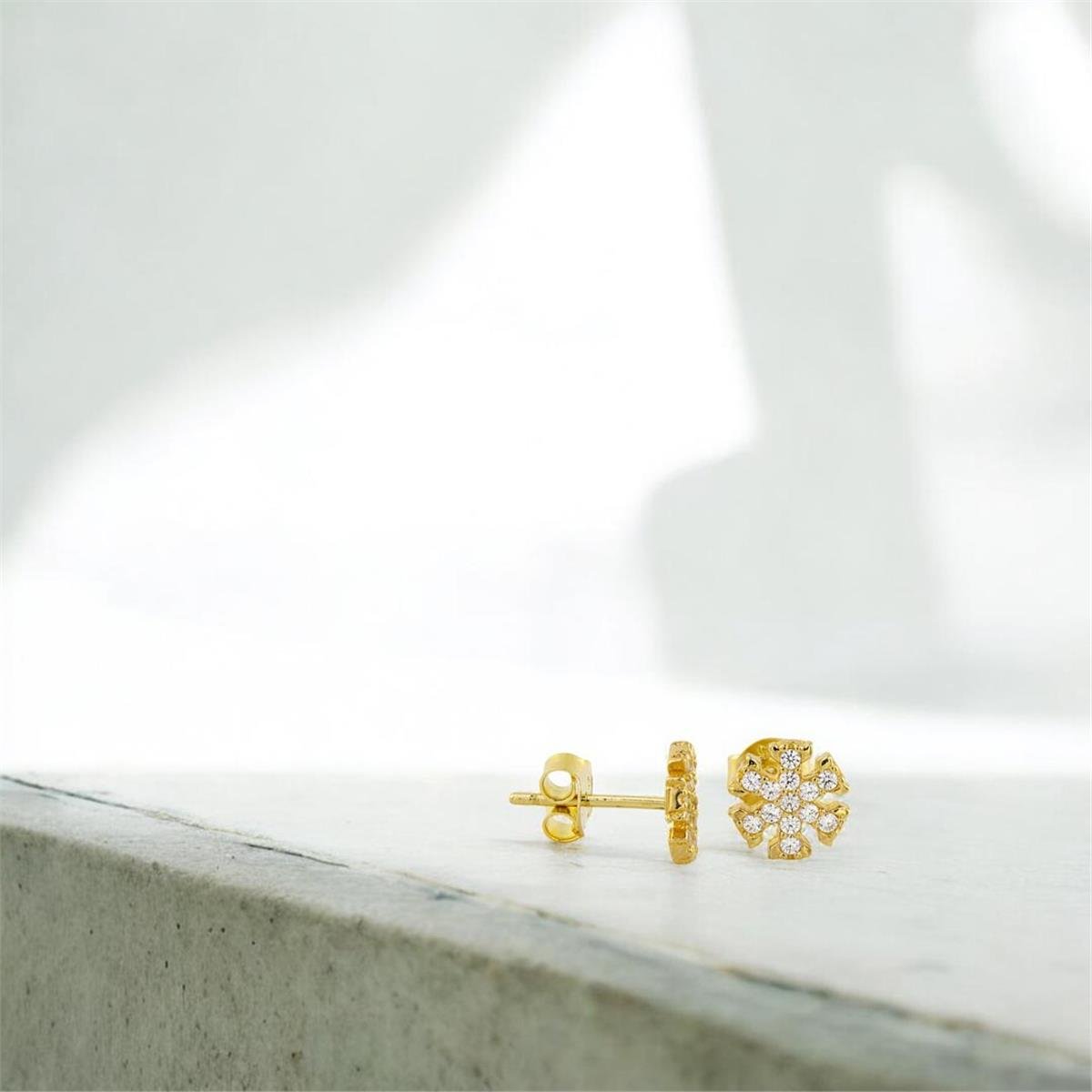 14 Ayar Altın Kartaneli Küpe  -  0190825