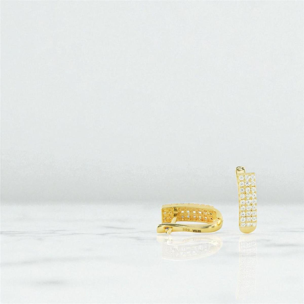 14 Ayar Altın Suyolu Küpe  -  0198754