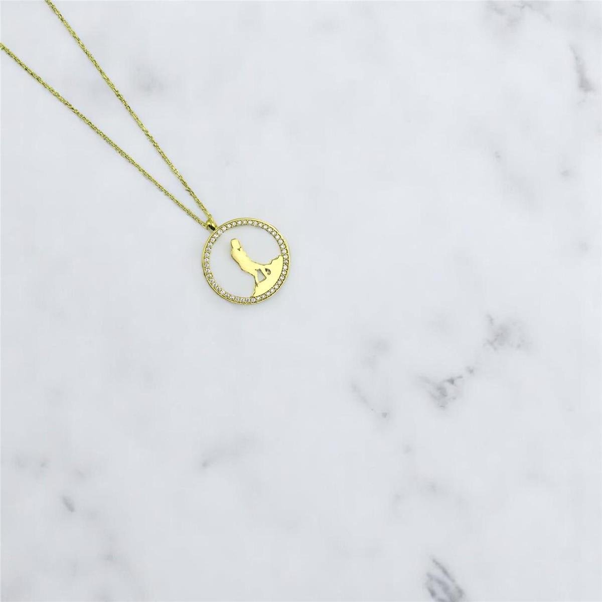 14 Ayar Altın Tasarım Kolye  -  F004754