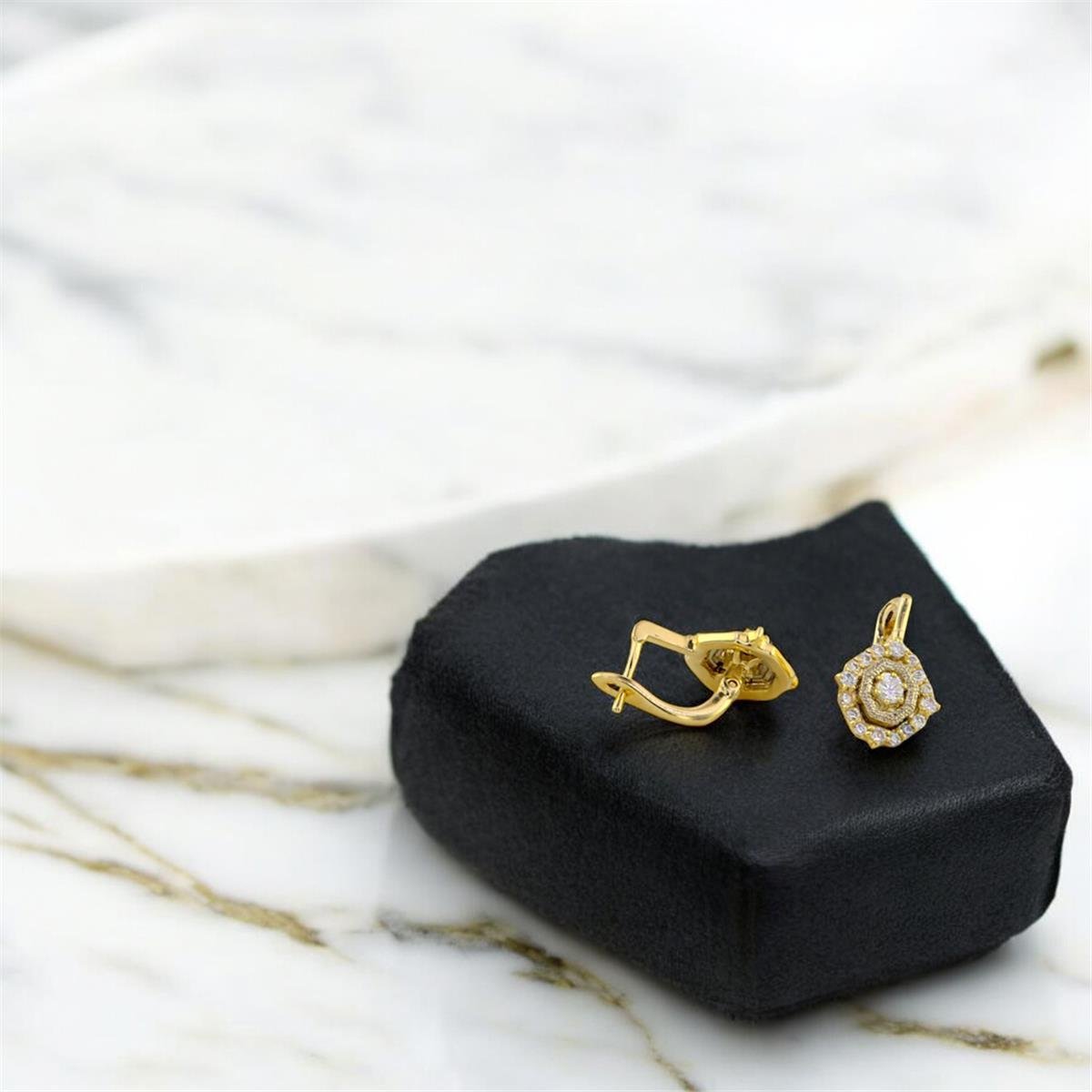 14 Ayar Altın Tasarım Küpe  -  0188874