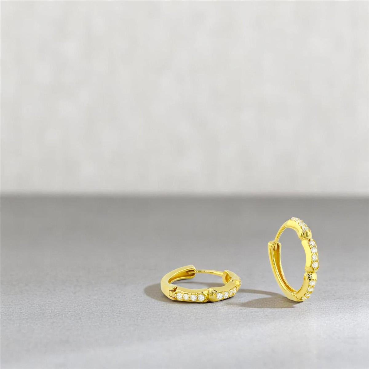 14 Ayar Altın Tasarım Küpe  -  0194254