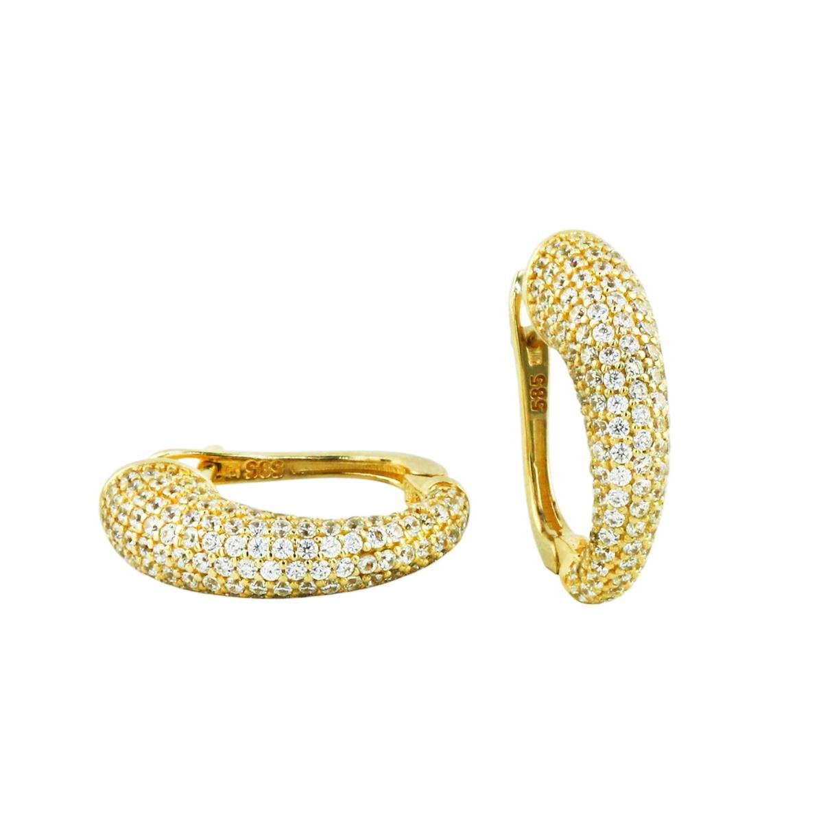 14 Ayar Altın Tasarım Küpe  -  0199534