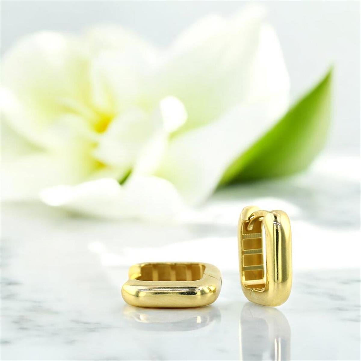 14 Ayar Altın Tasarım Küpe  -  0200848