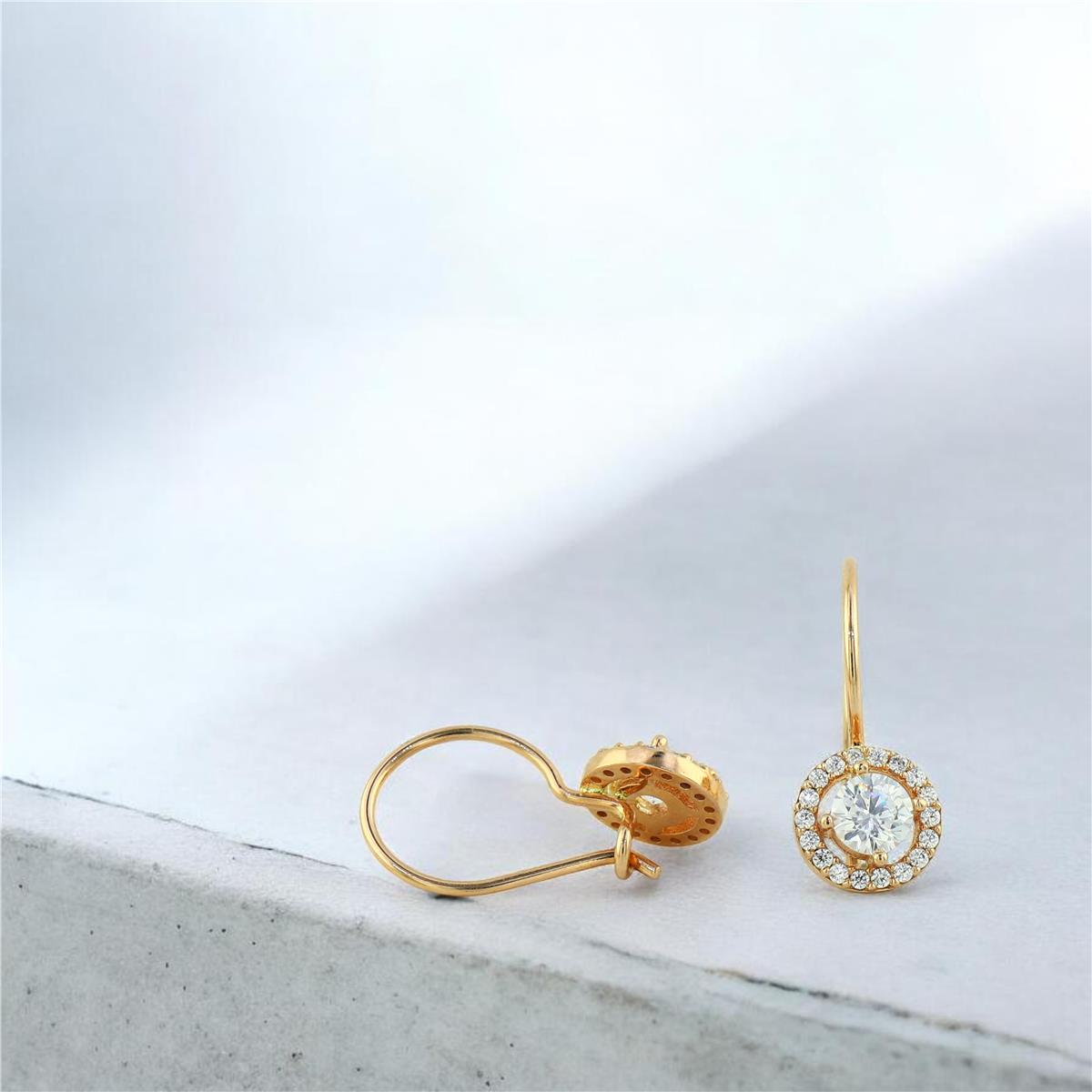 14 Ayar Altın Tasarım Küpe  -  0204374