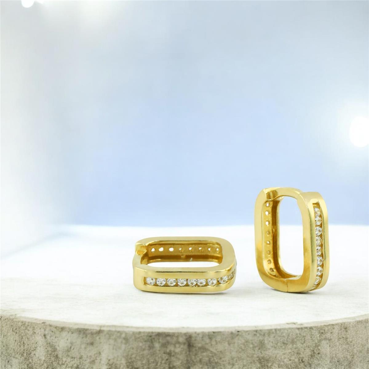 14 Ayar Altın Tasarım Küpe  -  0205124