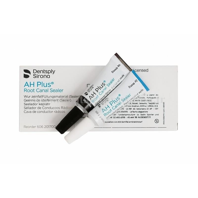 Dentsply AH Plus Kanal Dolgu Patı 2x4 ml