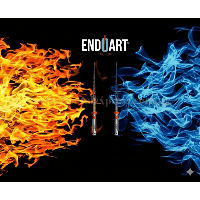 EndoArt Smart Touch Action Kanal Eğesi