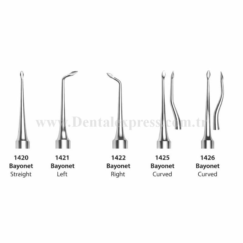 Raven Dental Bayonet Kök Elevatör Düz
