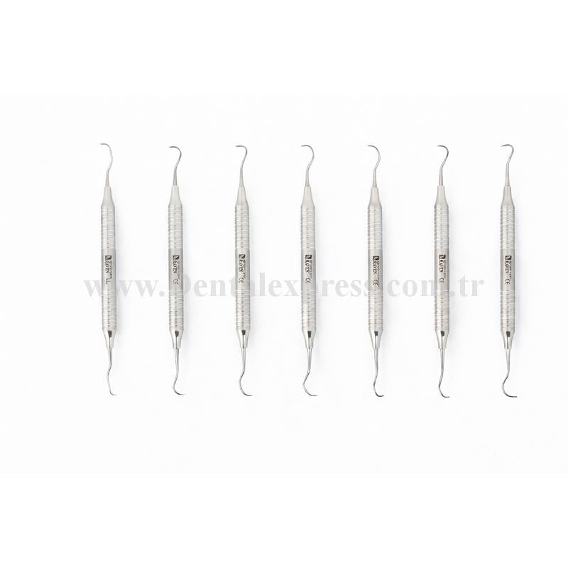 Raven Dental Periodontal Gracy Küret Seti