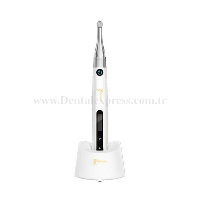 Woodpecker EndoPace Endomotor