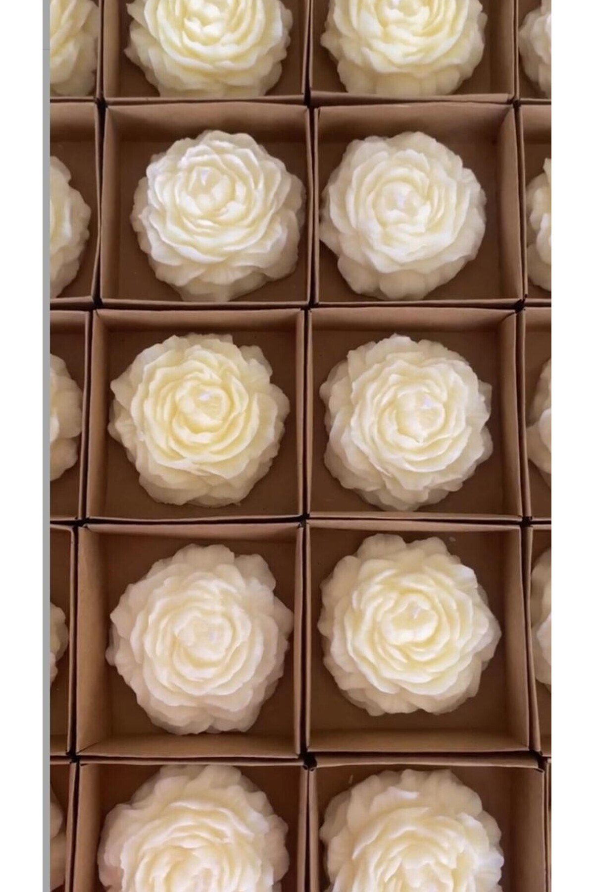 3 ‘ Lü Şakayık Vanillia & Soft Marshmallow Kokulu Mum