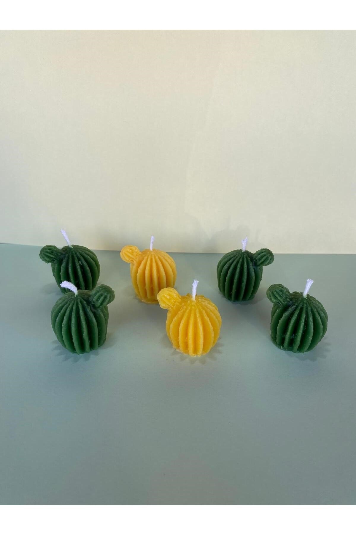 6 Adet Dekoratif Hediyelik Mini Kaktüs kutulu Mum
