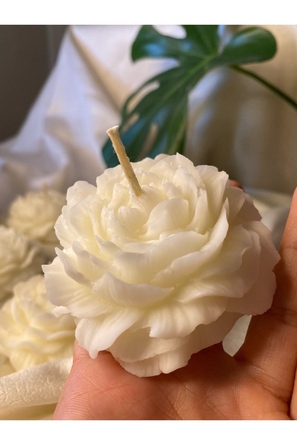 Bernamiofficial 6'lı Gül Vegan Mum