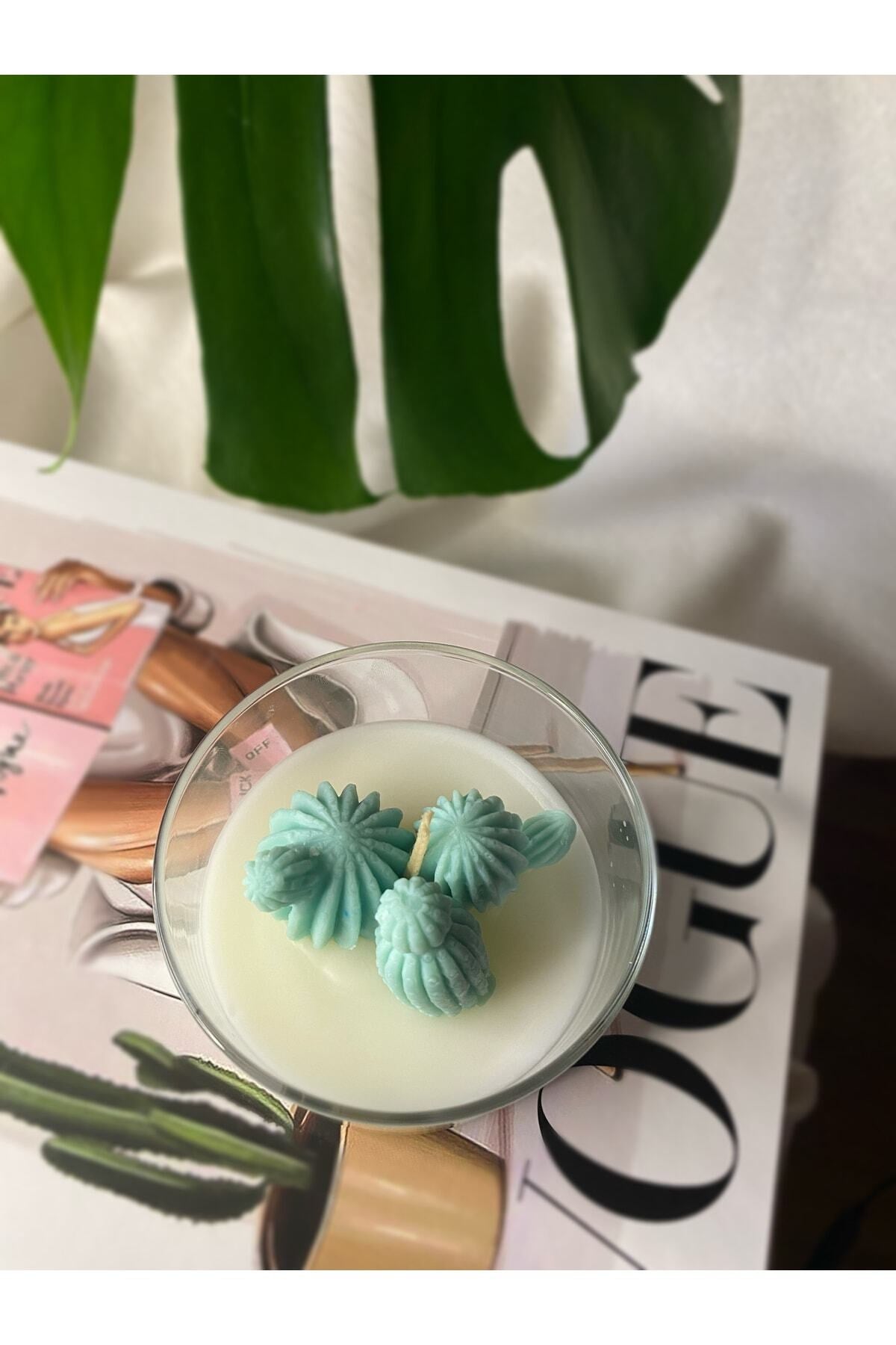 Mini Kaktüslü Mum