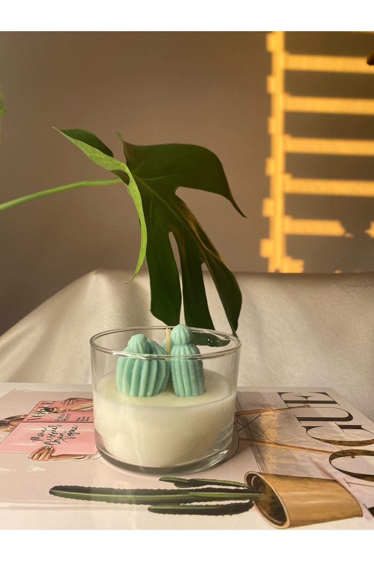 Mini Kaktüslü Mum