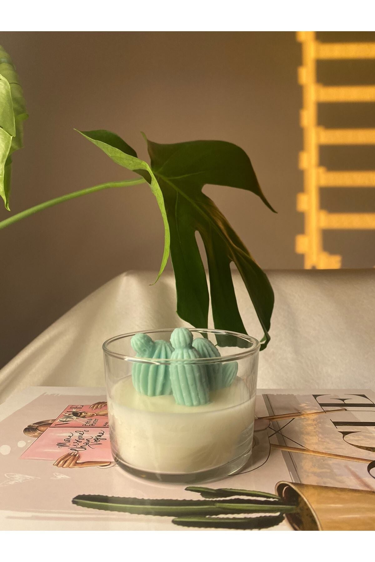 Mini Kaktüslü Mum