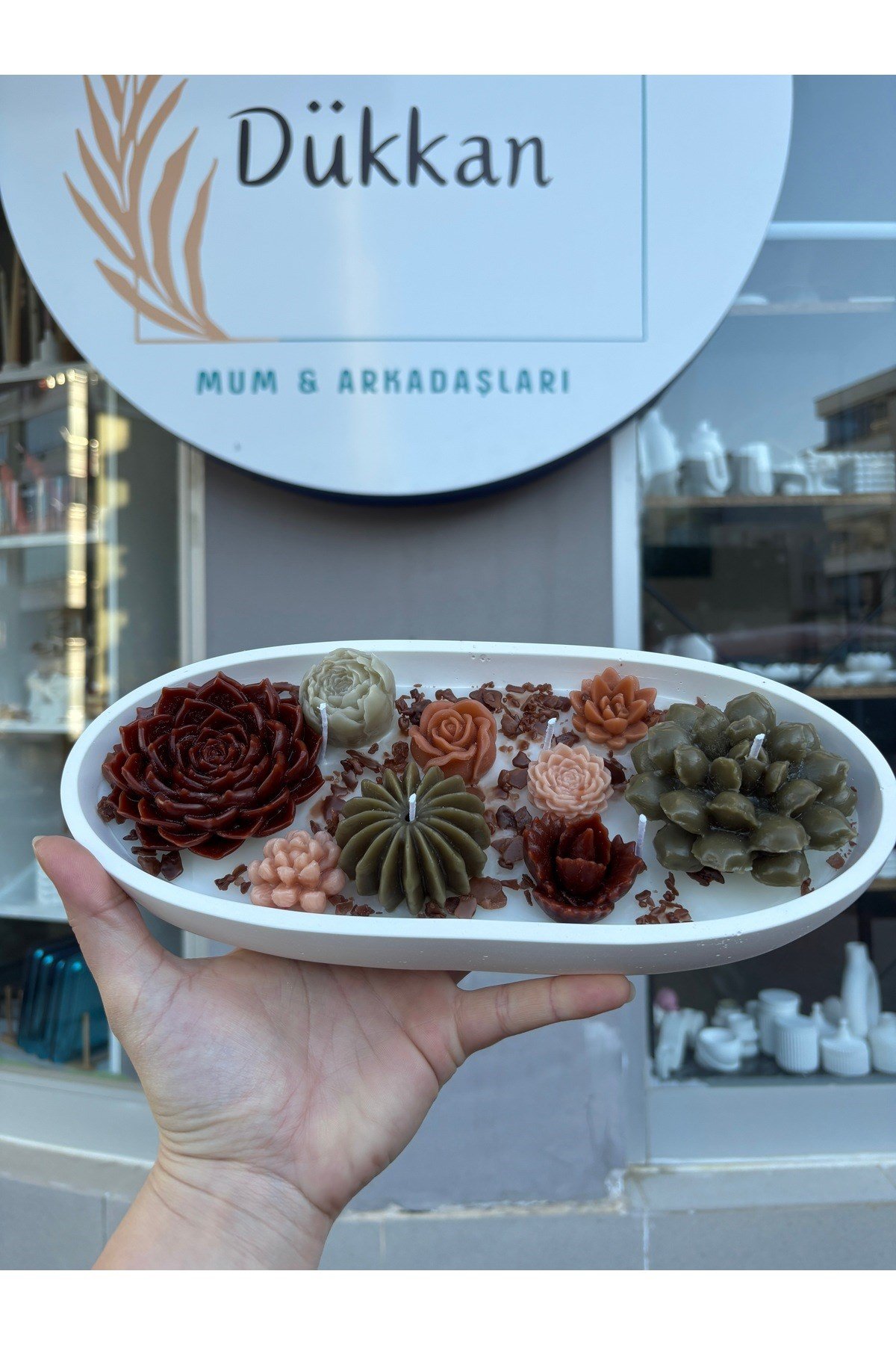 Skulent Aranjman Mum Kayık Kase Büyük Boy