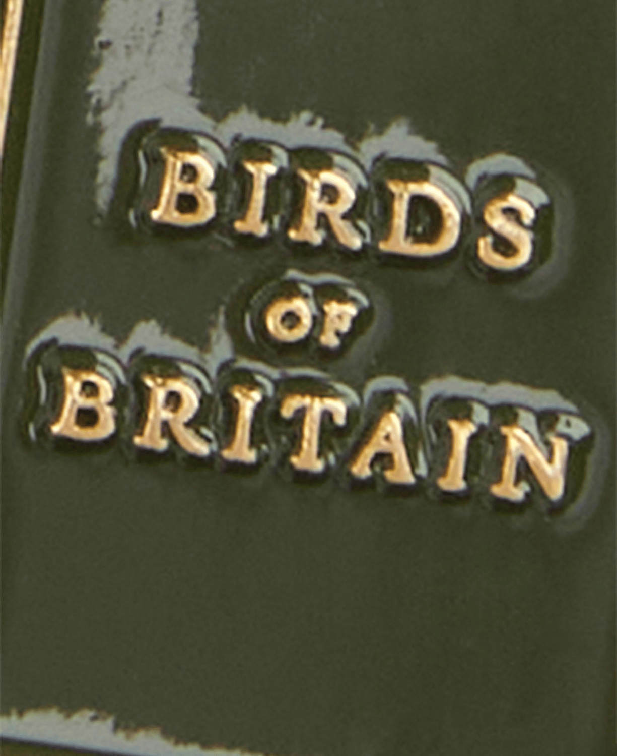 Barbour Bird Spotter Anahtarlık