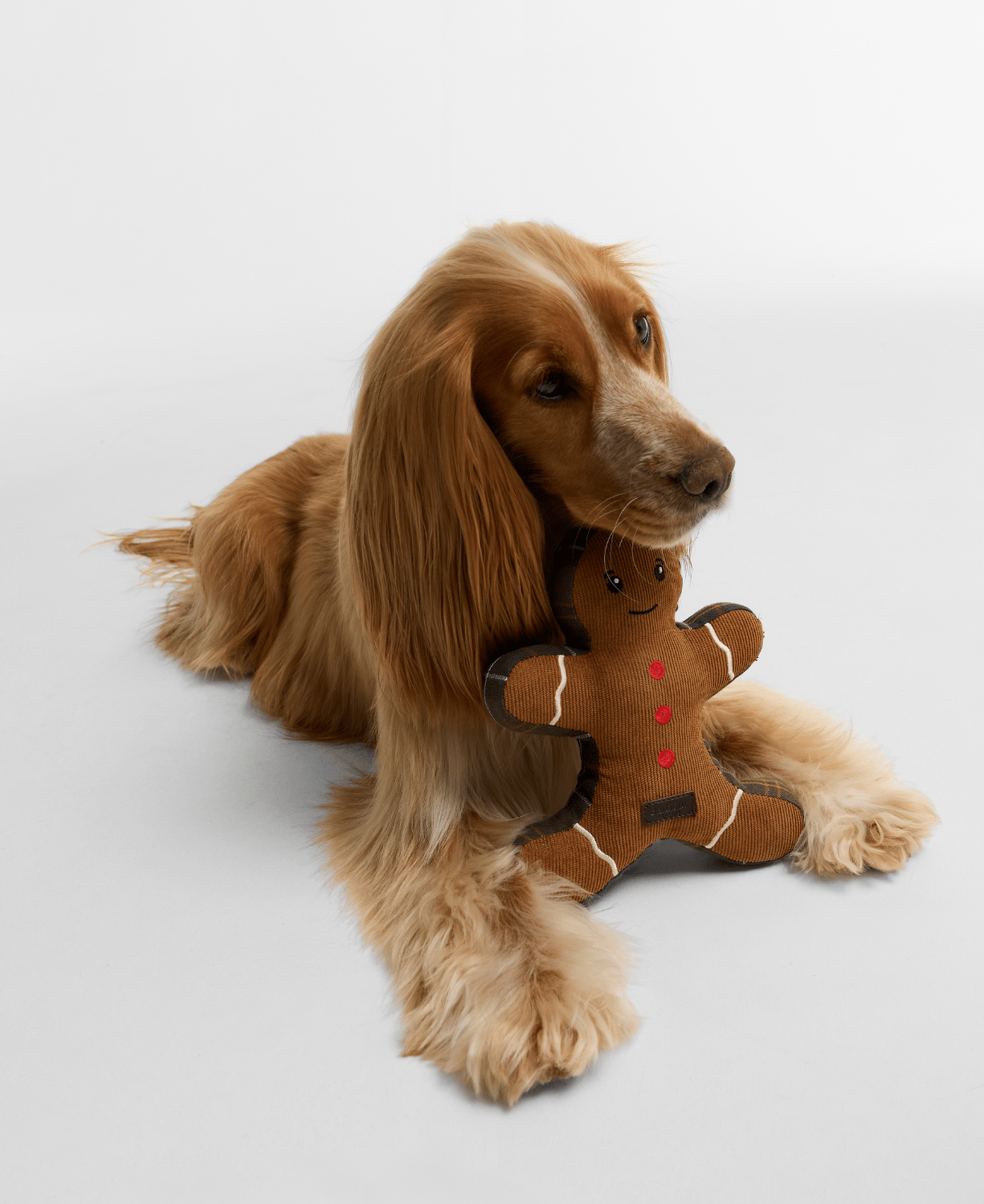 Barbour Dogs Gingerbread Köpek Oyuncağı