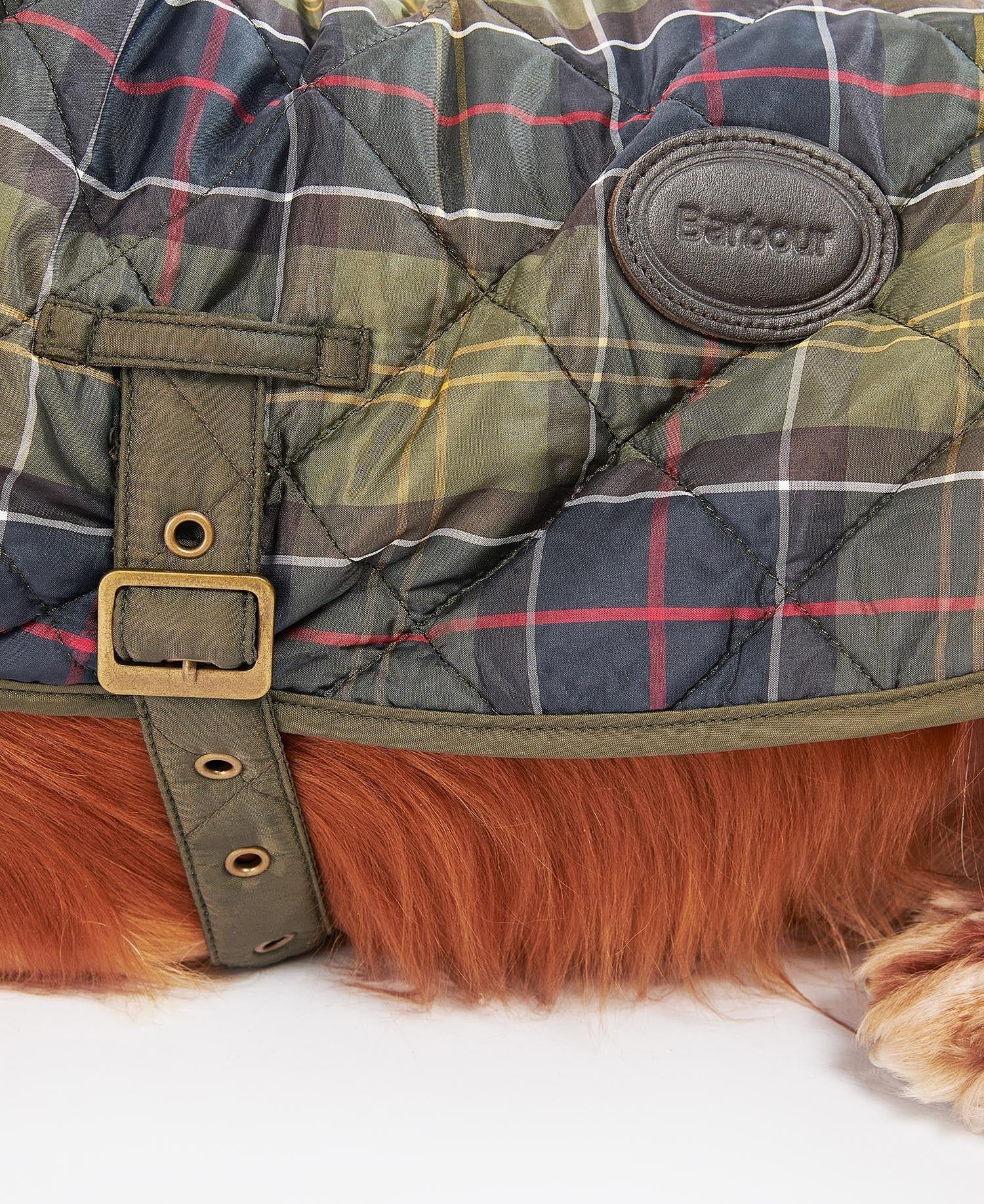 Barbour Ekose Köpek Montu